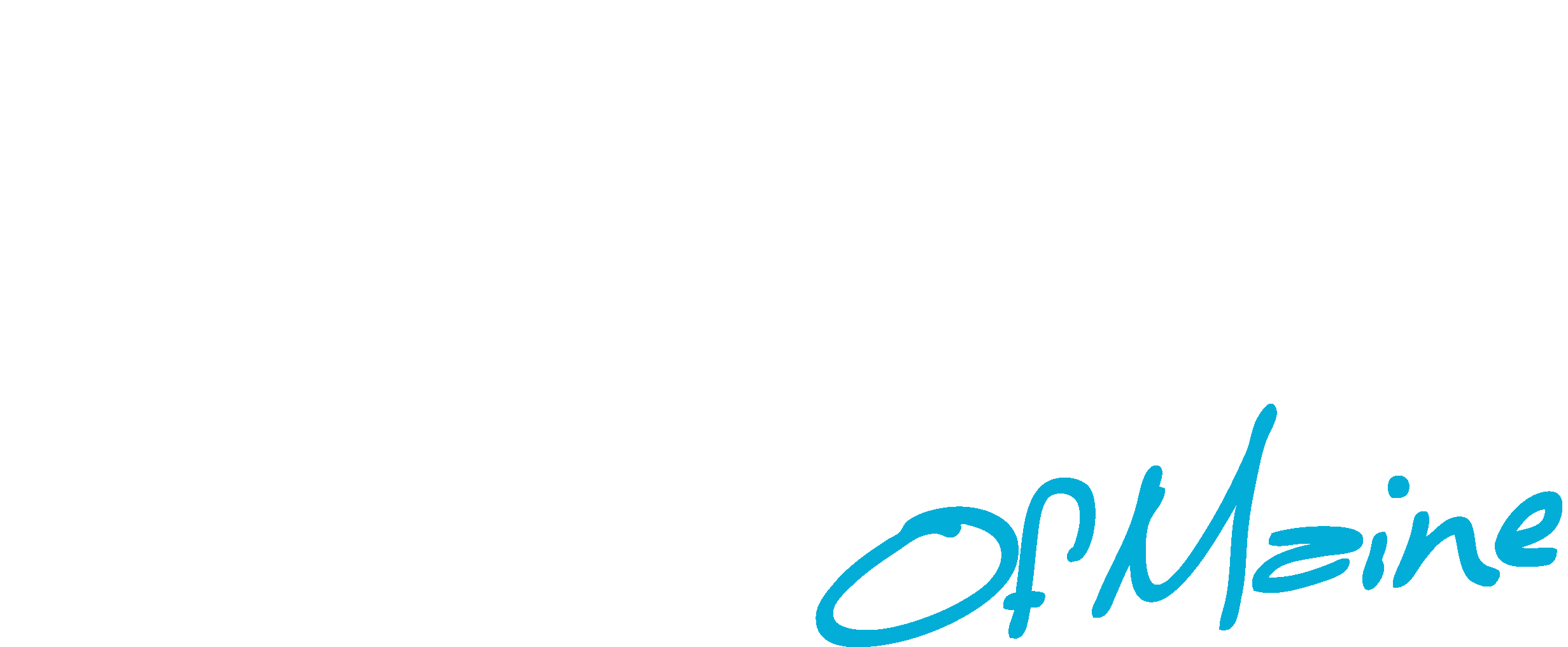 Production Services of Maine